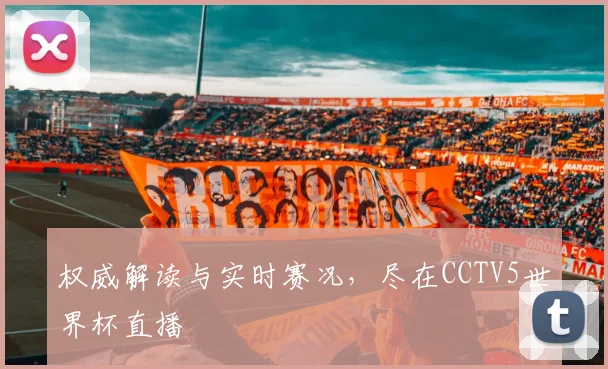 权威解读与实时赛况，尽在CCTV5世界杯直播