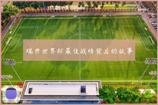 瑞典世界杯最佳战绩背后的故事