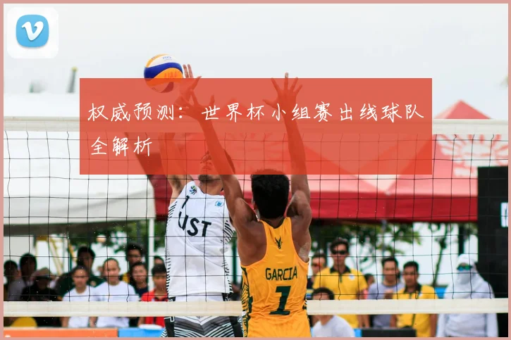 权威预测：世界杯小组赛出线球队全解析