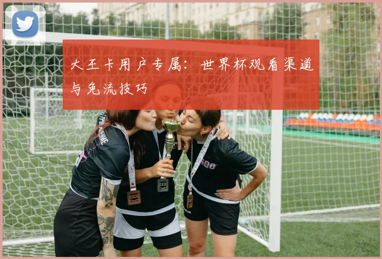 大王卡用户专属：世界杯观看渠道与免流技巧