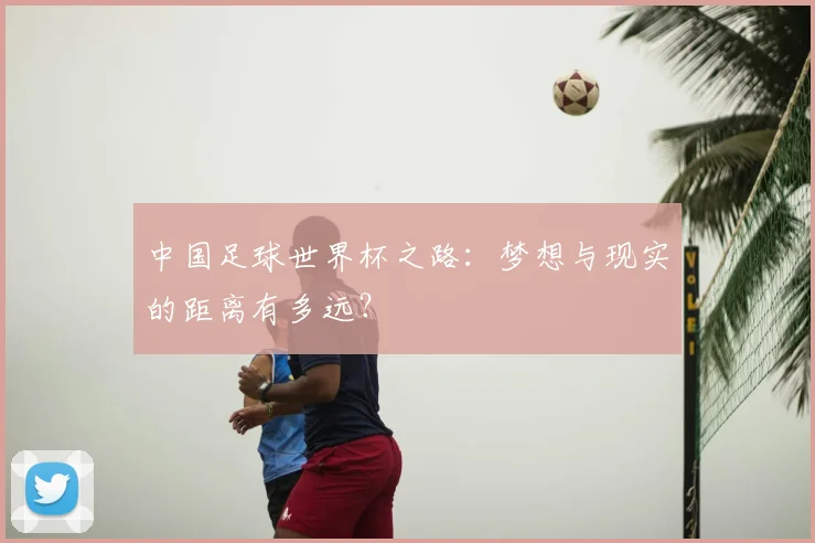 中国足球世界杯之路：梦想与现实的距离有多远？